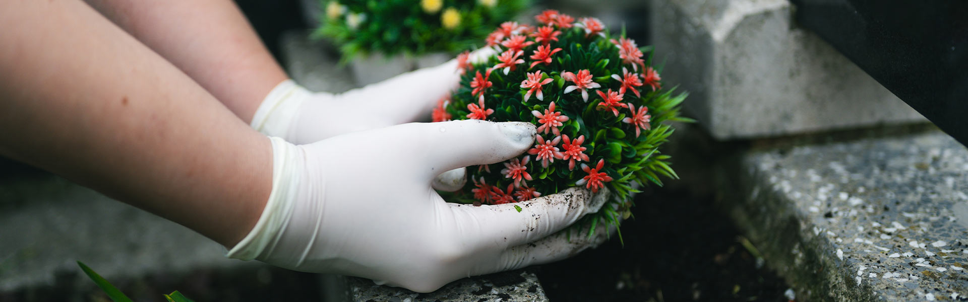 Grab wird mit Blumen geschmückt