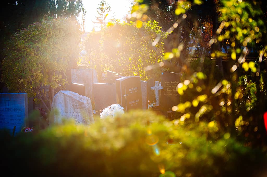 Friedhof im Sonnenlicht