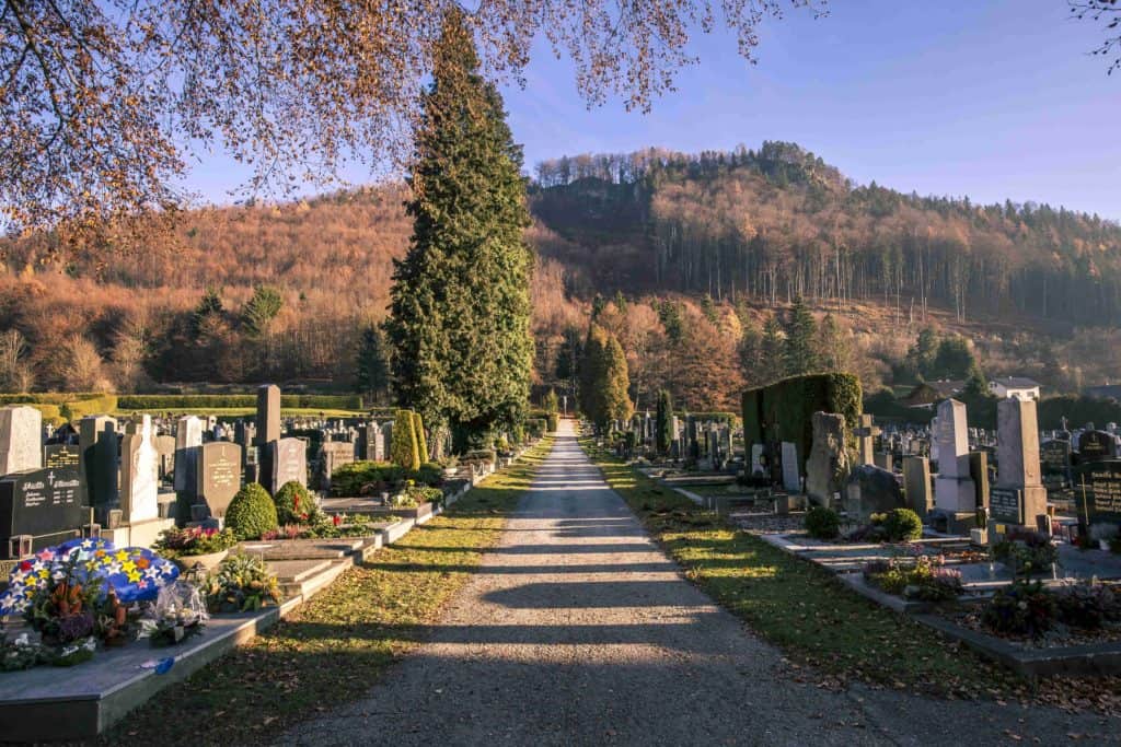 Friedhof mit Natur